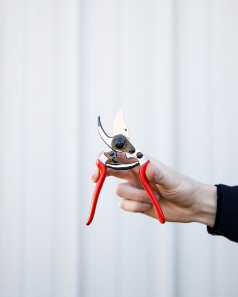 Felco® #14 Pruners