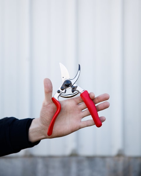 Felco® #10 Pruners, Left-Handed