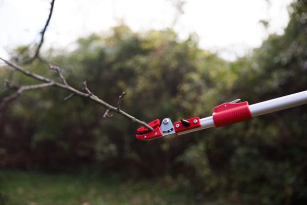 Cut & Hold Pole Pruner