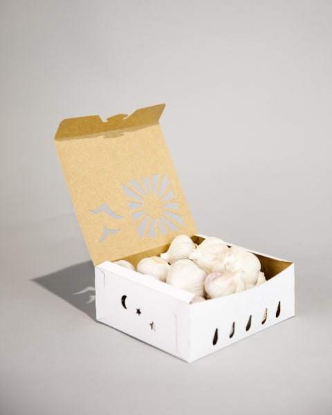 Sun Sugar 2 Quart