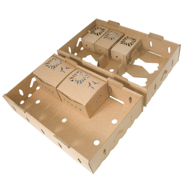 Sun Sugar Master Trays