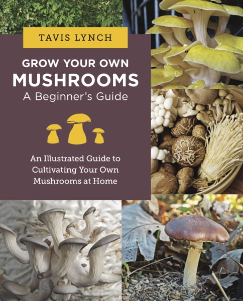 Grow Your Own Mushrooms: A Beginner’s Guide