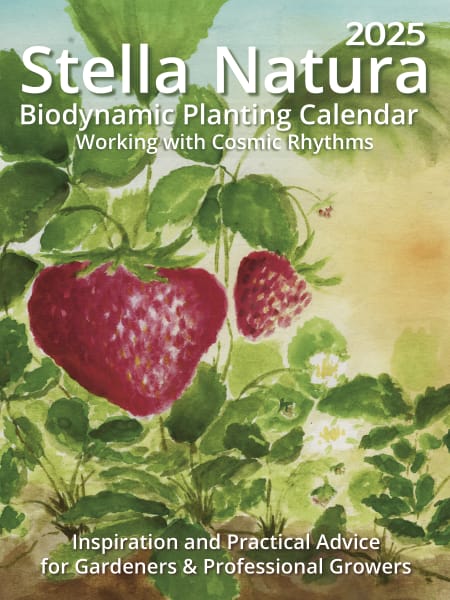 Stella Natura: 2025 Biodynamic Planting Calendar