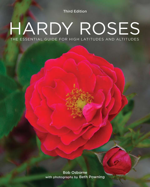 Hardy Roses: The Essential Guide for High Latitudes and Altitudes 