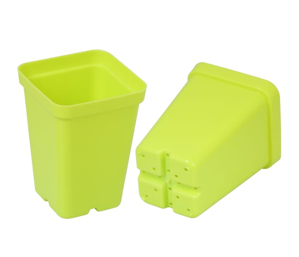 Lime 2½" Heavy-Duty Square Pots