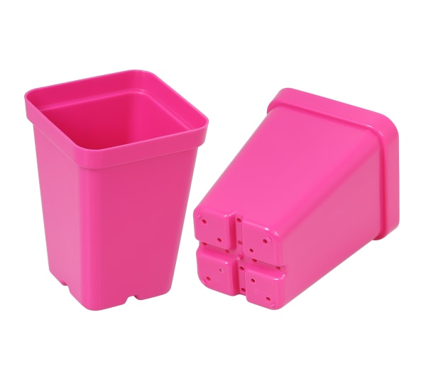 Magenta 2½" Heavy-Duty Square Pots