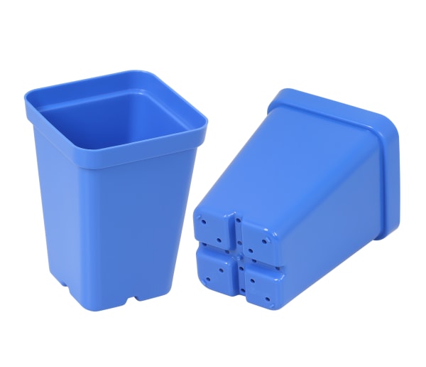 Blue 2½" Heavy-Duty Square Pots