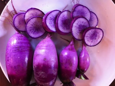 Mini Purple