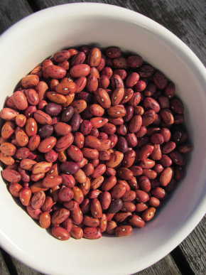 Vermont Cranberry