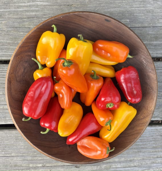 Delite Snacking Pepper Blend