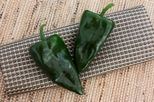 Trident Ancho/Poblano