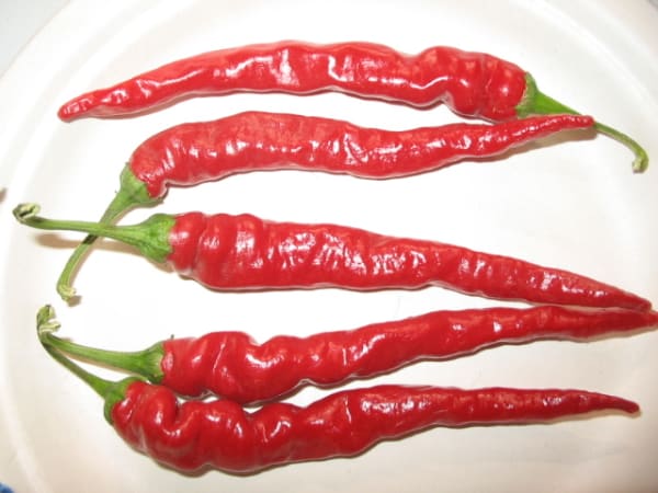 Long Red Narrow Cayenne