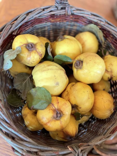 Aromatnaya