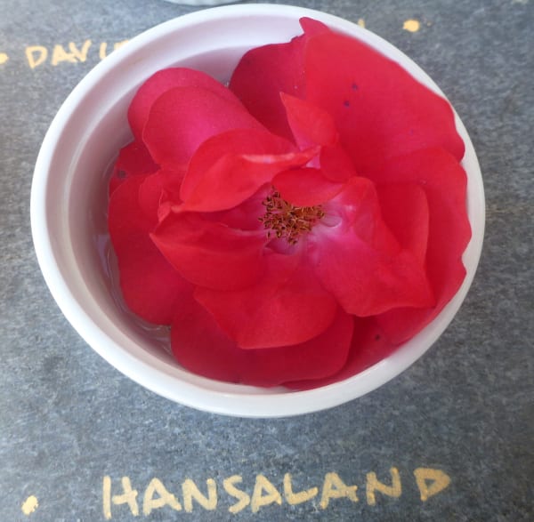 ‘Hansaland’