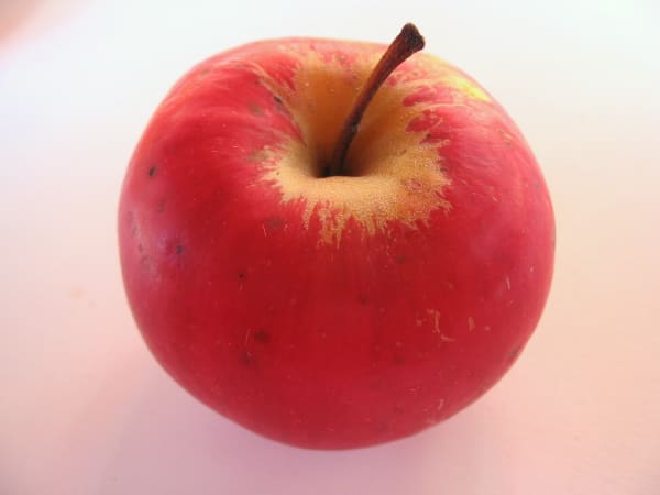Winesap