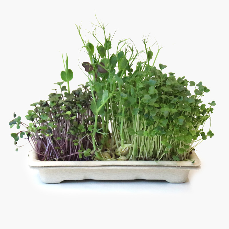 Hydro Products