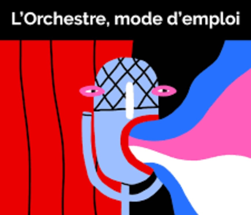 L'orchestre mode d'emploi 