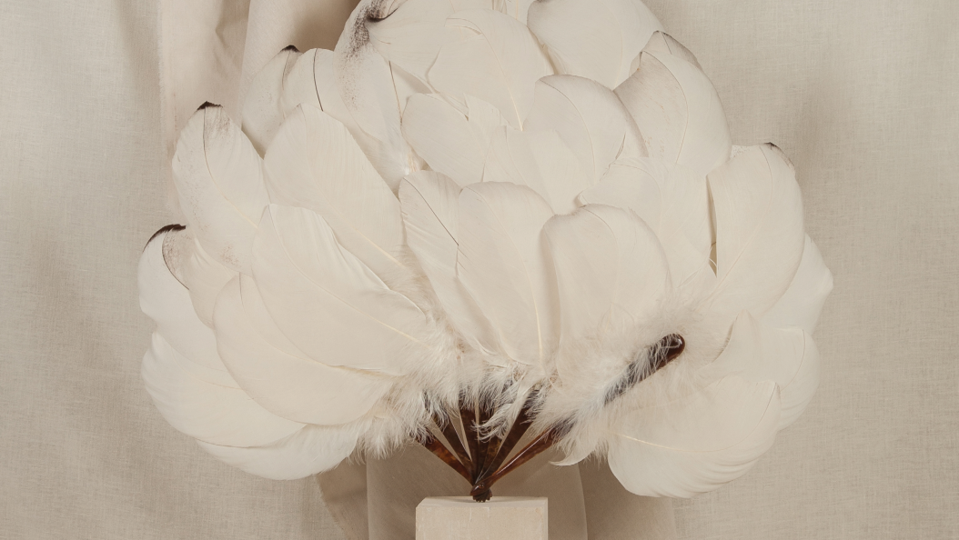 Modèle darchive_ Eventail Cygne, plumes de cygne montées en quinconce
