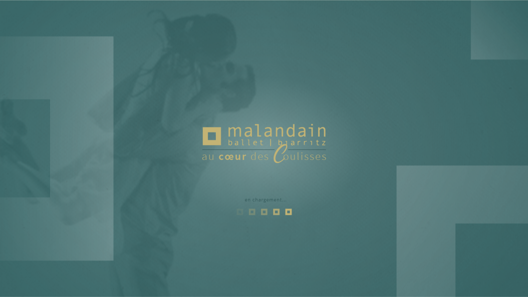 Malandain Interface