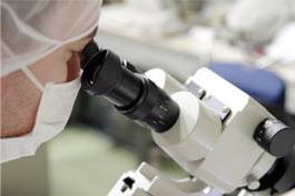 Scientist studies growth hormones Scientist studies growth hormones