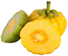 Garcinia Cambogia Fruit Garcinia Cambogia Fruit