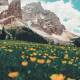 The Tranquil Symmetry: Breathwork Meets Music