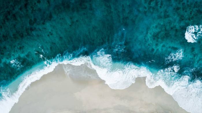 Unraveling the Connection: Breathwork and the Nervous System