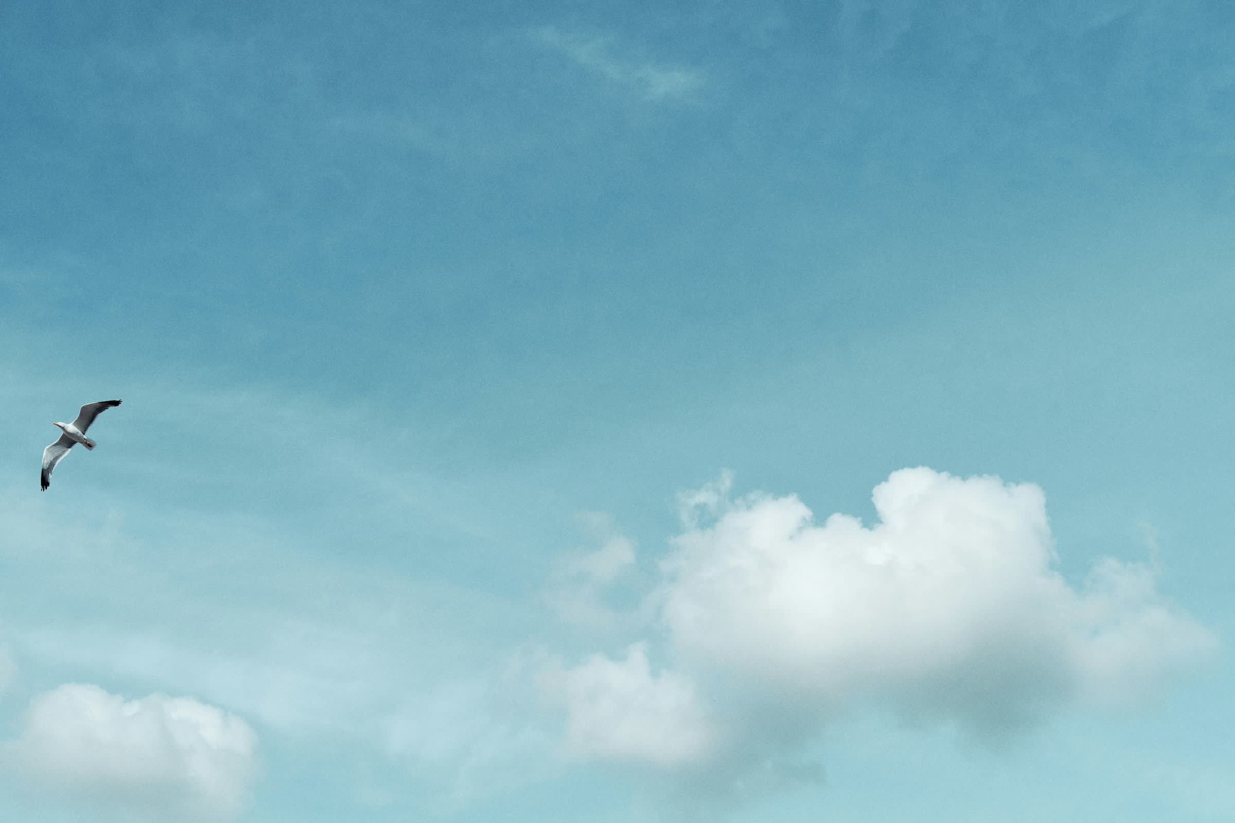 Sydney Two Day Holotropic Breathwork November 2026