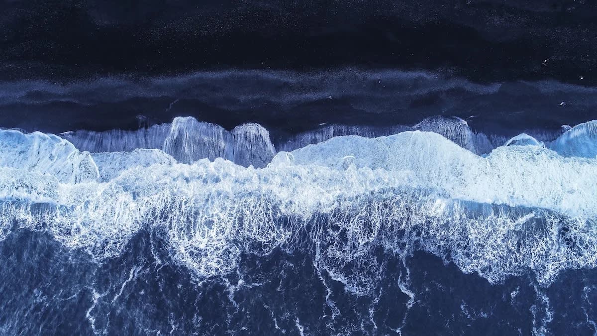 Unlocking the Power of Breathwork: Impact on the Central Nervous System