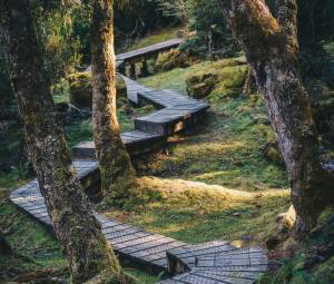 Meander (North Tasmania) Two Day Holotropic Breathwork + Sauna Weekend 16th - 18th October 2026