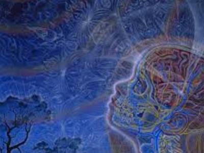 Family Constellation and Holotropic Breathwork Workshop - This workshop offers an opportunity to reconnect with your inner healing wisdom. It will cover the latest developments in neuroscience, trauma treatment, and the role of empathy as a valuable healing approach that can help rewire our brains and enhance our ability for self-love, emotional regulation, and overall well-being. To register, please email drmcglynn6@gmail.com