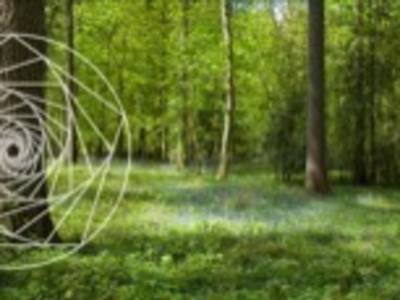 EARLY RATE EXTENDED!  Double Holotropic Breathwork® in Sedro Woolley, WA, USA