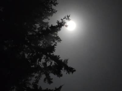 Double Holotropic Breathwork® Retreat in the Foothills of the Cascade Mountains