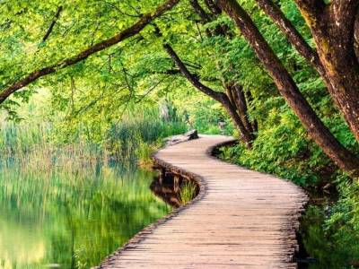 Holotropic double breathwork event with HolotropicUK. October 30th to November 2nd 2025. New Forest, South England