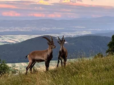Doppel Atmen – Retreat mit Übernachtung in der Nähe von Wien (Österreich)