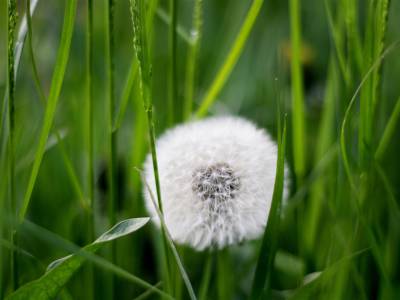 Why People Pleasing Is Not Kindness: Understanding The Cost Of Always Putting Others First
