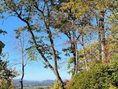 A Journey Within...Holotropic Breathwork Workshop (January 23-24, 2026)