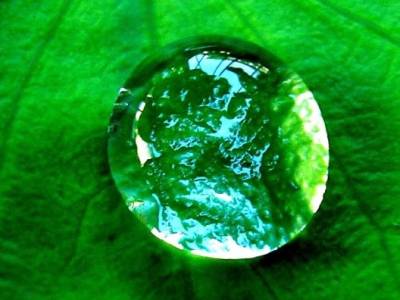 Holotropic Beathwork: Theory and Practice