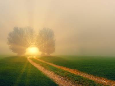 Holotropic Breathwork® Berlin - 05.12. - 07.12.2025