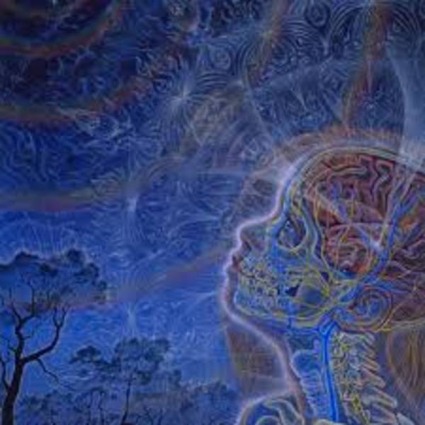 Family Constellation and Holotropic Breathwork Workshop - This workshop offers an opportunity to reconnect with your inner healing wisdom. It will cover the latest developments in neuroscience, trauma treatment, and the role of empathy as a valuable healing approach that can help rewire our brains and enhance our ability for self-love, emotional regulation, and overall well-being. To register, please email drmcglynn6@gmail.com