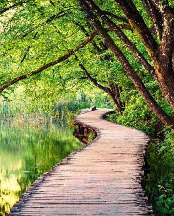 Holotropic double breathwork event with HolotropicUK. October 30th to November 2nd 2025. New Forest, South England