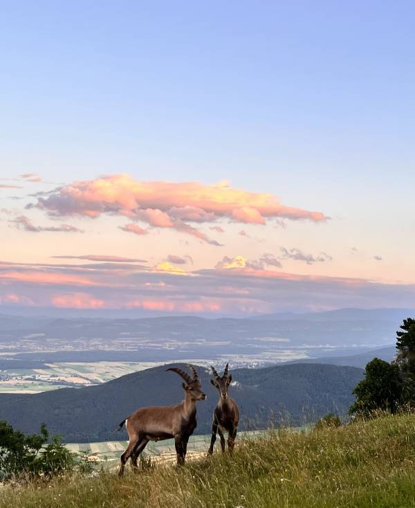 Doppel Atmen – Retreat mit Übernachtung in der Nähe von Wien (Österreich)