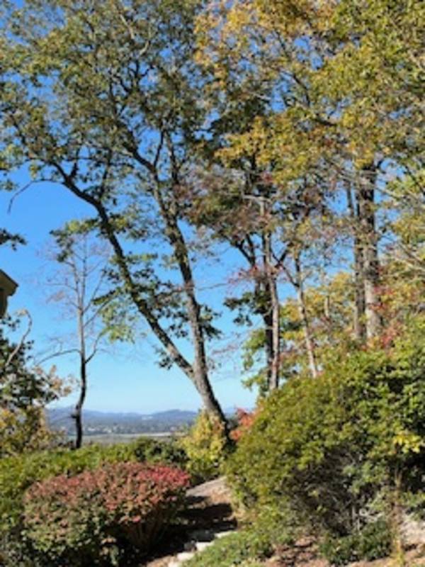 A Journey Within...Holotropic Breathwork Workshop (January 23-24, 2026)