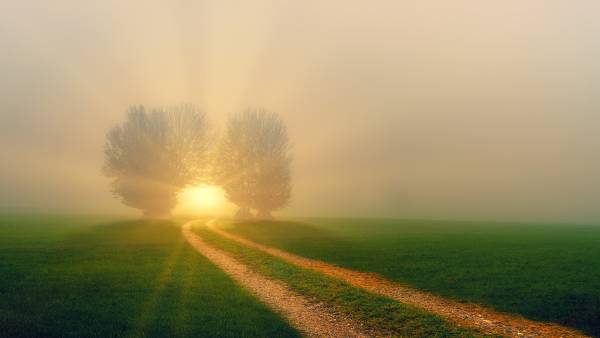 Holotropic Breathwork® Berlin - 05.12. - 07.12.2025