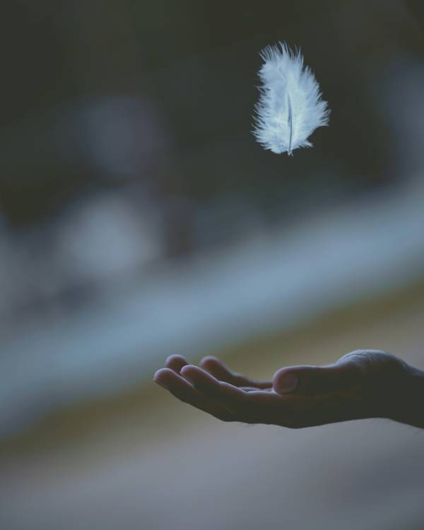 5 Day Module - Music and Transcendance