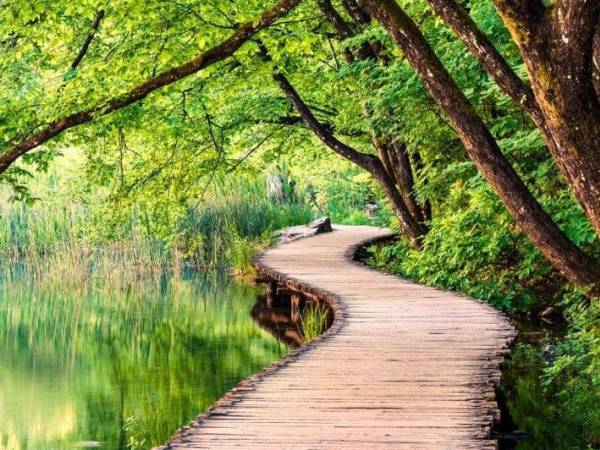 Holotropic double breathwork event with HolotropicUK. October 30th to November 2nd 2025. New Forest, South England