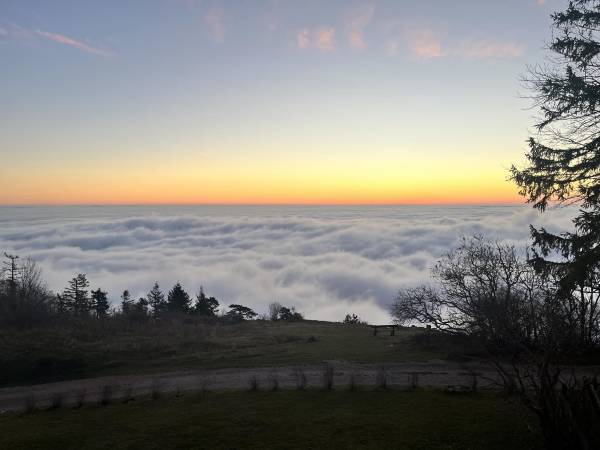 Chaos and Order - Holotropic Breathwork with Zen Meditation / 18.-23. March 2025, BergZendo Hohe Wand, Austria