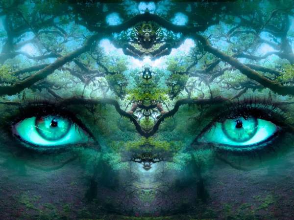 Holotropic breathwork workshop in the greater GENEVA area (CH) towardsAnnecy (FR), 17th and 18th October 2025﻿﻿