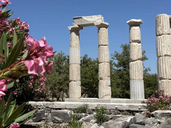 A Single Holotropic Breathwork workshop, 10-12 July 2026, Samothrace, Greece.