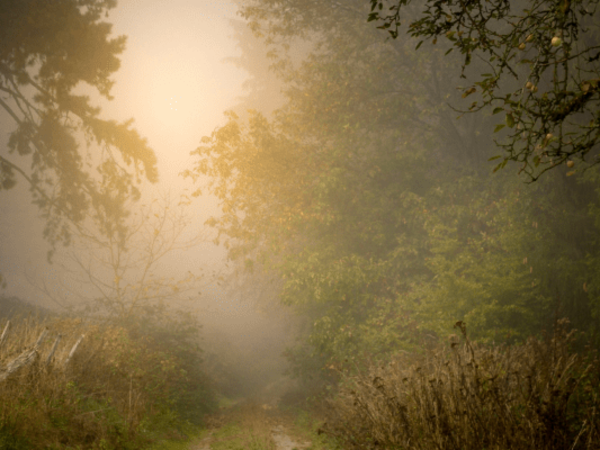 Holotropic Breathwork • Wicklow, Ireland • 20th March 2027